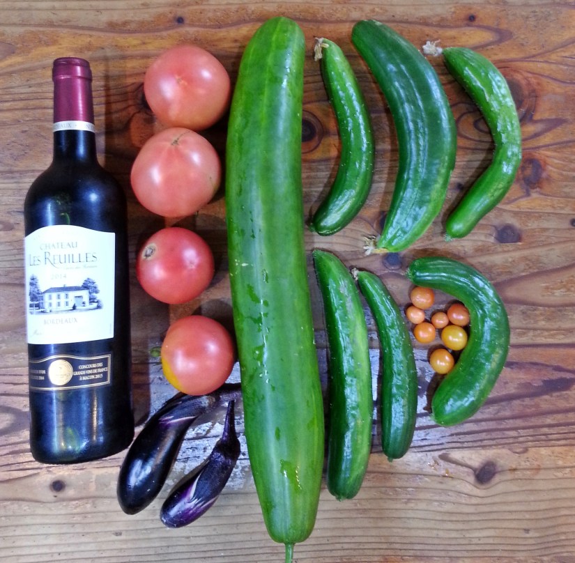 巨大キュウリ03