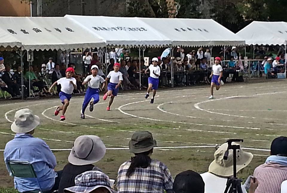 41797768_1870744059679469_3199555115723784192_n